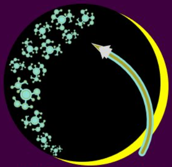 WSA Logo